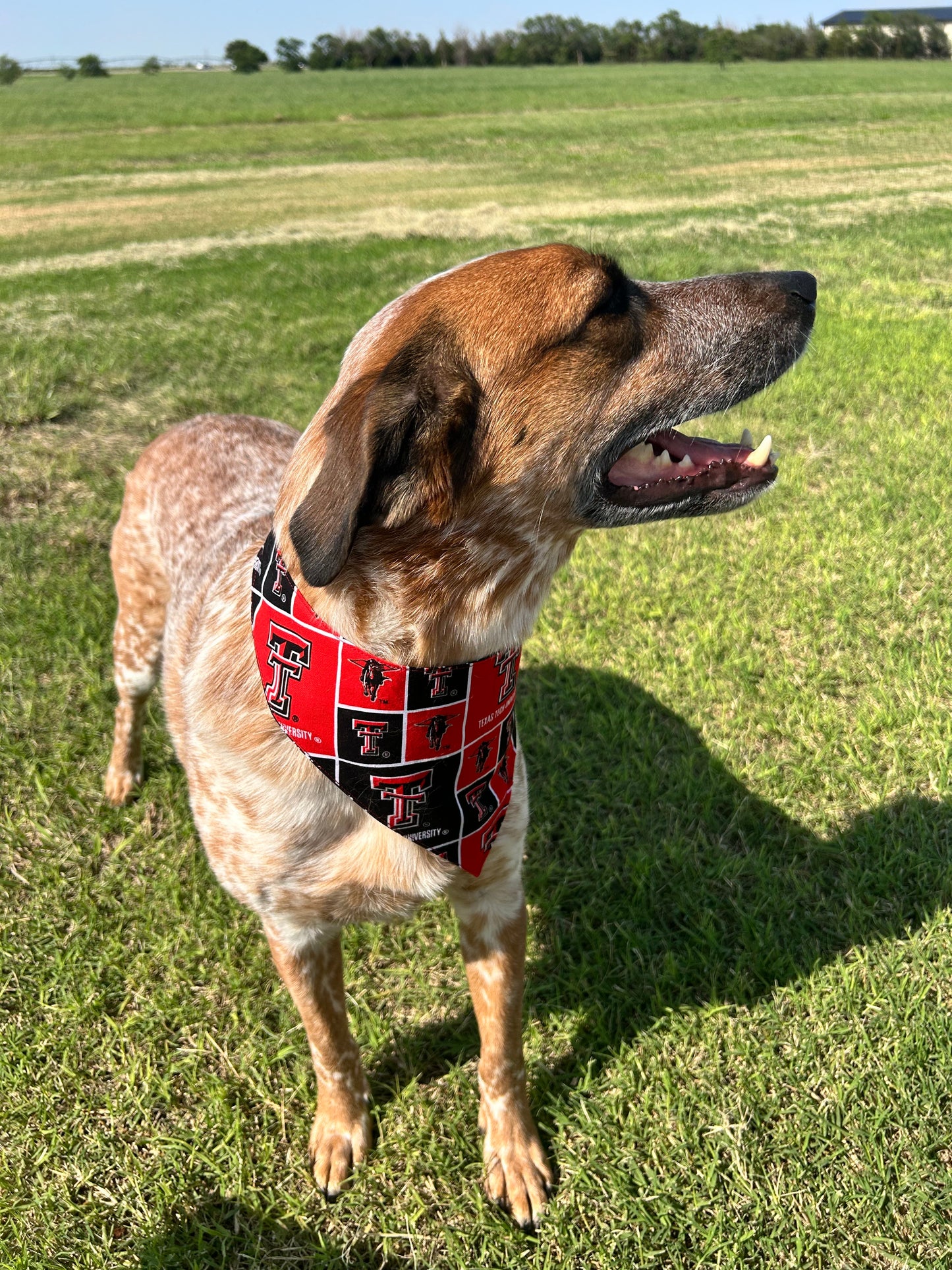 Wreck 'Em Pup