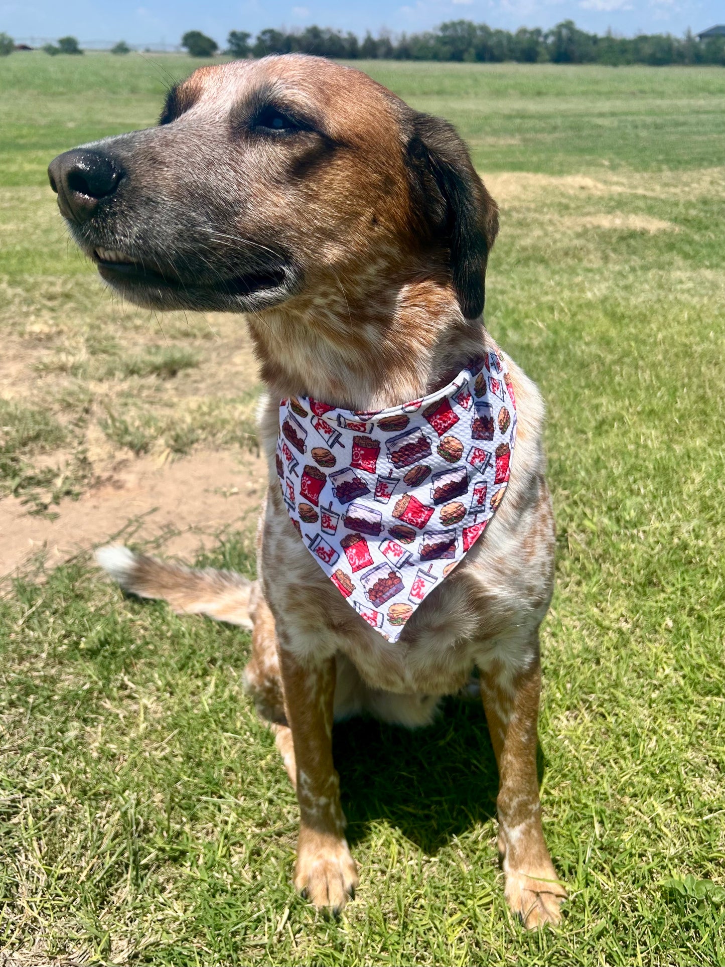 Paw-fil-A