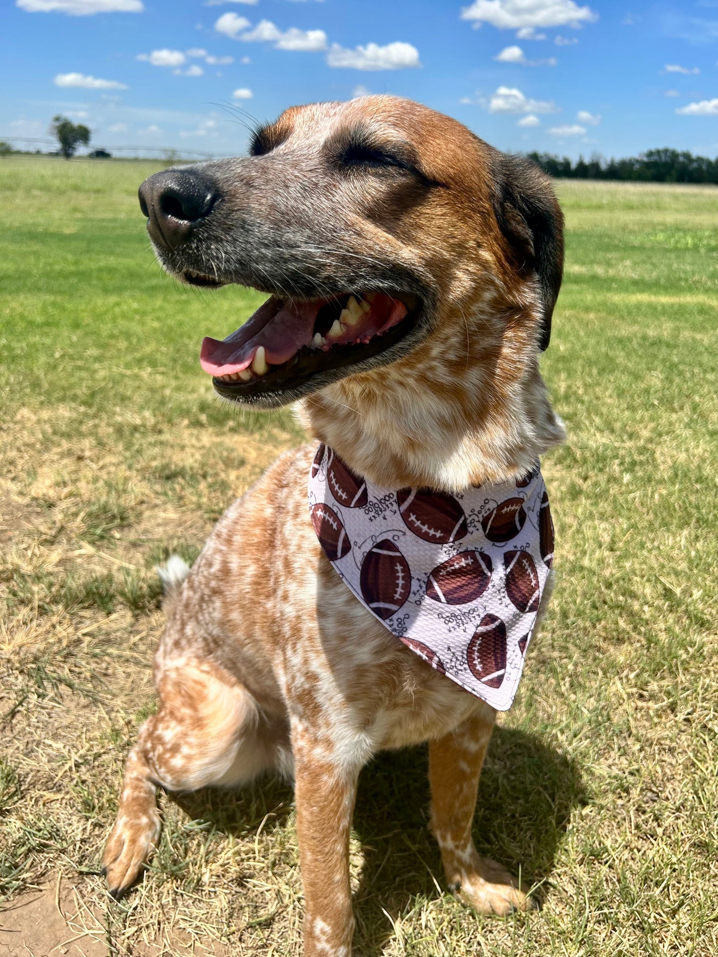 Quarterbark
