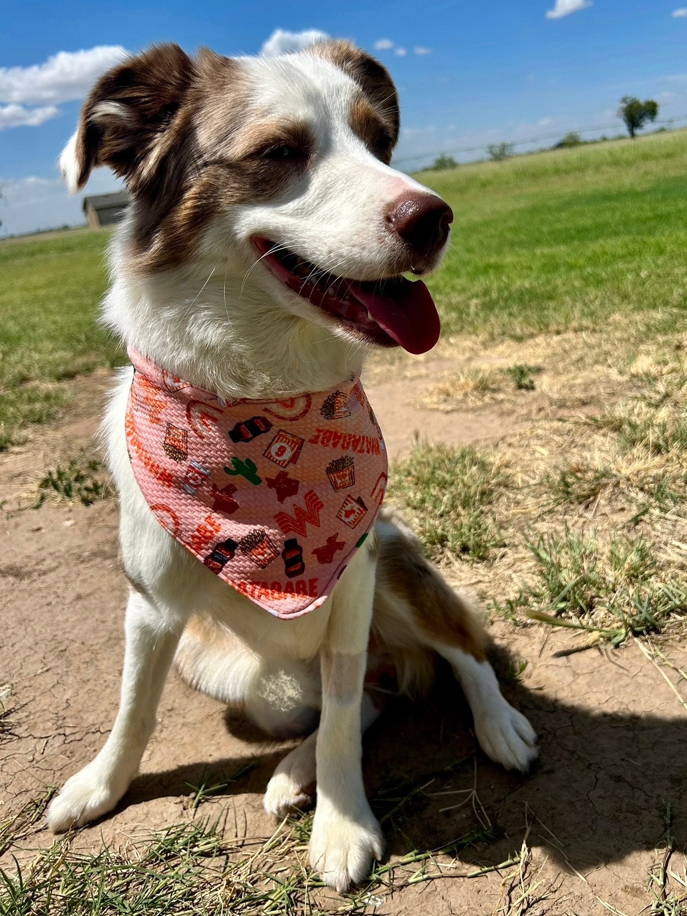 Whata' Pup