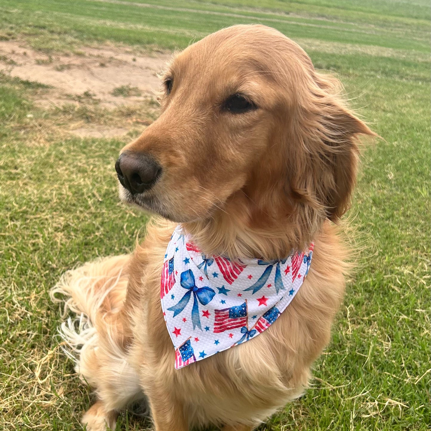 Red, White, And Bows